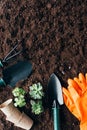 Top view of green plants, gardening tools, flower pots and rubber gloves Royalty Free Stock Photo