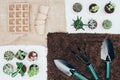 top view of green potted plants, empty pots, soil and gardening tools