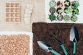 top view of green potted plants, empty pots, soil, stones and gardening tools