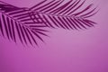 Top view of green tropical leaf shadow on lilac background