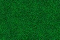 top view of green turf texture for pattern and background Royalty Free Stock Photo