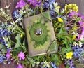 Top view of green witch book on wildflowers