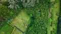 Top view green woodland summer day. Aerial greenery valley nature covered grass Royalty Free Stock Photo