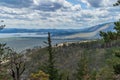 Top view on green yellow coast of bay blue Baikal lake. Dead trees bare trunks after fire on slope of mountain.Green pine branches Royalty Free Stock Photo