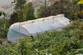 Top view of Greenhouse structure