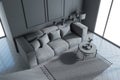 Top view on grey cozy sofa in stylish living room with carpet, round coffee table and wooden parquet floor.