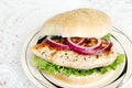 Top view grilled chicken sandwich Royalty Free Stock Photo