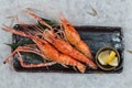 Top view of Grilled shrimps Giant Tiger Pawn with salt served with sliced lemon in black stone plate on washi Japanese paper Royalty Free Stock Photo