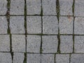 Top view of the ground brick tiles with moss in between. Closeup shot of textured ground Royalty Free Stock Photo