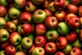 Top view of group of apples