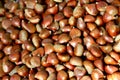 Top view of a group of brown smooth edible chestnuts. Background, texture.