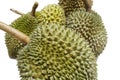 Top view of group durian fruit isolated on white background