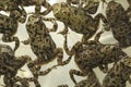 Top view of group European green toad (Bufotes viridis) in the pond