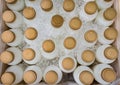 Top view of group of fresh milk in traditional plastic bottle on