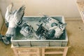 Top view of a group of racing pigeons bathing together in a tray with water