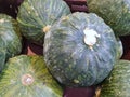 Top view of group japanese pumpkin as a background for sale in the market