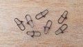 Top view of a group of lock snaps used for fishing leaders on a wood background