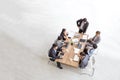 Top view of group of multiethnic busy people working in an office, Aerial view with businessman
