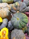 Top view of group pumpkin as a background for sale in the market