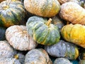 Top view of group pumpkin as a background for sale in the market