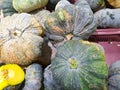 Top view of group pumpkin as a background for sale in the market