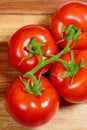 Above view of a group of tomatoes attached to a green vine