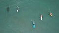 Top view of a group of surfers in the water. Royalty Free Stock Photo