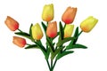 Top view, Groups of orange yellow tulips flower blossom isolated on white background for design or stock photo, illustration,