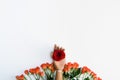 top view of hand on dummy with red rose and beautiful rose flowers Royalty Free Stock Photo