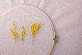 Top view of a handmade hoop with linen fabric and live branches of yellow mimosa.