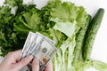 Top view hands holding money counting hundred dollar bills and lettuce leaves, cucumbers on white table indoors. Royalty Free Stock Photo