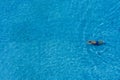 Top view of happy man is relaxing and enjoy swimming in the swimming pool of the luxury hotel and resort with warm beautiful Royalty Free Stock Photo