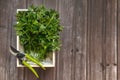 Top view of the harvested oregano in a wooden box with garden scissors on top of it.