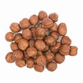 Top view hazelnut isolated white background. Heap of hazelnut closeup. Nuts collection