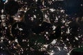 Top view of heap of dark internal parts of an old clock on white light background. Metal clockwork with gears and