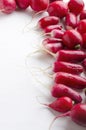 Vertical image.Different types of raw radishes on the white background.Empty space