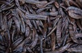 Top view of a heap of locust bean Royalty Free Stock Photo