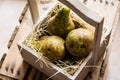 Top view of heap of ripe organic conference pears on straw in aged wood box, local produce, authentic style