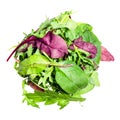 Top view of heap of various leaves of greens