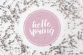 top view of HELLO SPRING lettering with round frame of lavender flowers