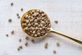Hemp Seeds on a Gold Spoon Royalty Free Stock Photo