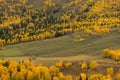 Top view of Hemu village in colorful autumn, nature popular landscape of China