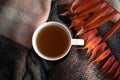Top view herbal tea in white cup on background from knitted scarf and orange autumn leaves Royalty Free Stock Photo