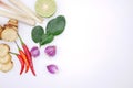 Top view herbs,spice included galangal,lemon grass,chilli,lime, onion and lime leaves on white background with copy space