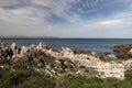 Top view of Hermanus coastal town, South Africa