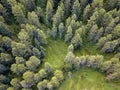 Top view of the hiking path among the dense green forests