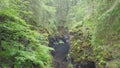 Top view hole in rock forest. Stock footage. In depths of forest there was collapse in mountain rock. Rock collapsed