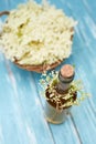 Top view of homemade elderflower syrup Royalty Free Stock Photo