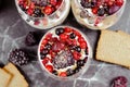 Top view of homemade layered red berry fruit, cookie crumbs and cheesecake cream dessert Royalty Free Stock Photo