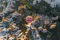 Top view of hot air balloon flying in sunrise sky, Goreme, Cappadocia, Turkey Royalty Free Stock Photo